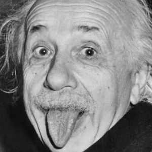 Meet your Posher, Reece